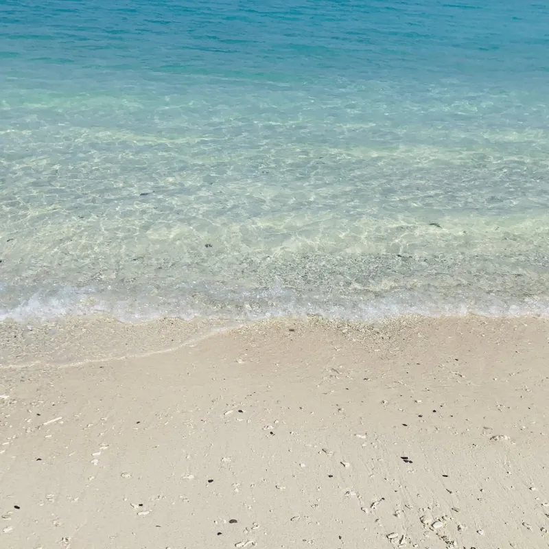 動物看護師・トリマー 淵脇梨々香 写真1