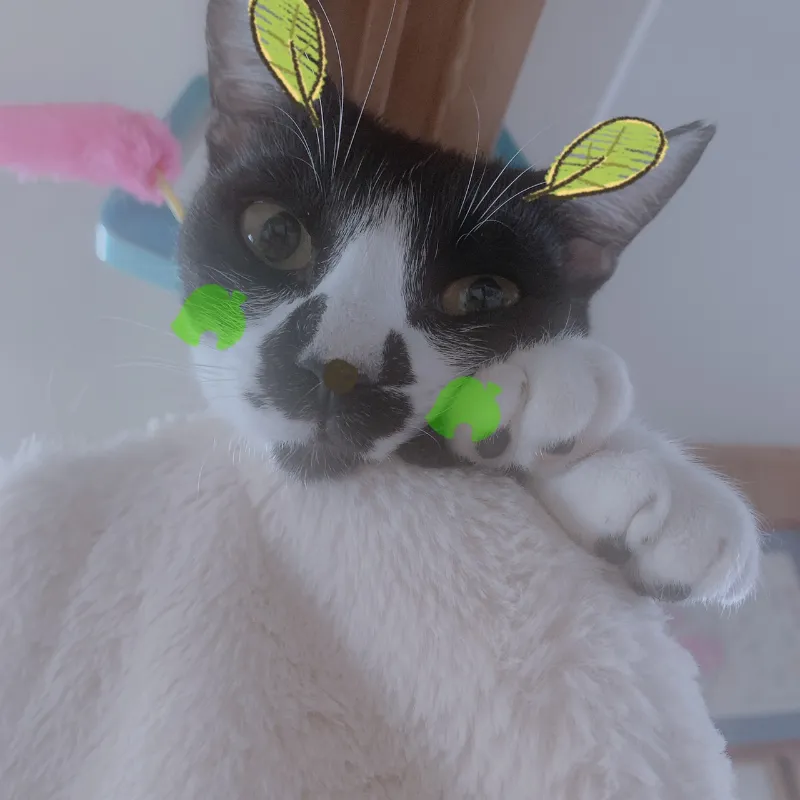 動物看護師・トリマー 淵脇梨々香 写真3