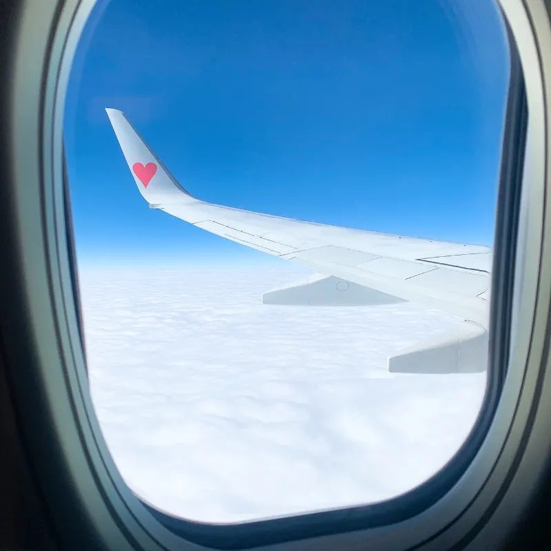 動物看護師・トリマー 淵脇梨々香 写真6