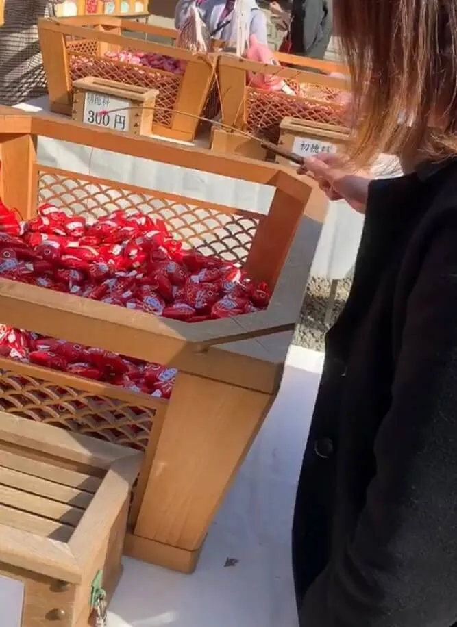 動物看護士・トリマー 大野貴絵 写真1