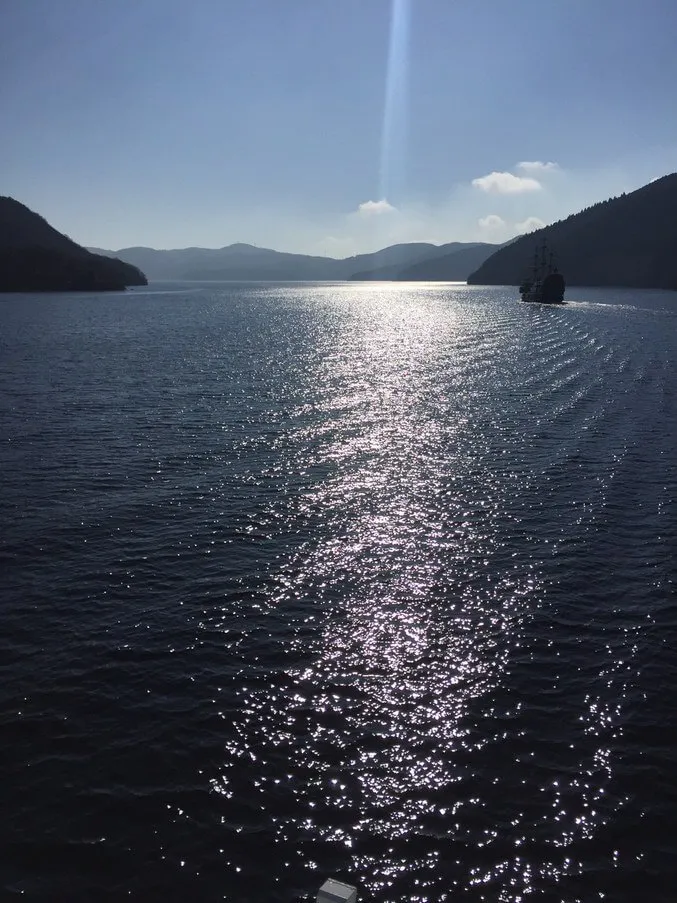 動物看護士・トリマー 大野貴絵 写真4