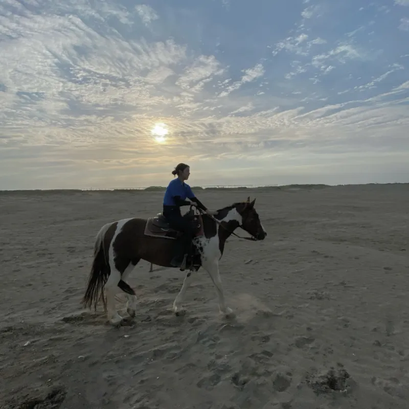 動物看護師 下平真子 写真1