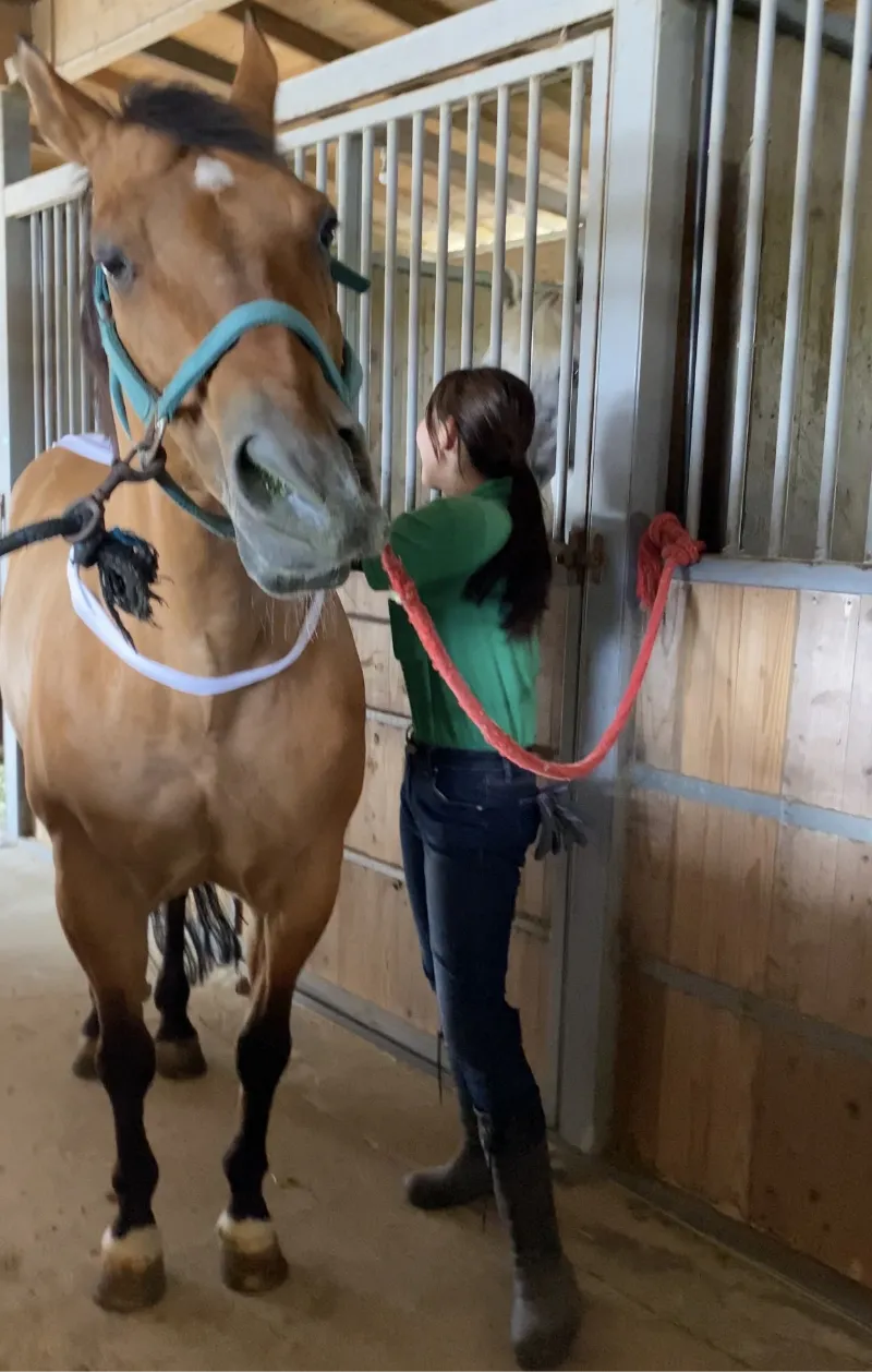 動物看護師 下平真子 写真4
