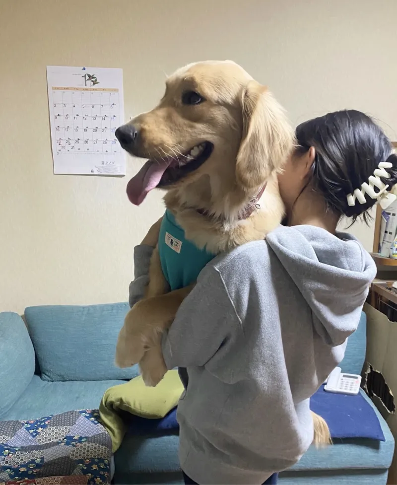 動物看護師 下平真子 写真5