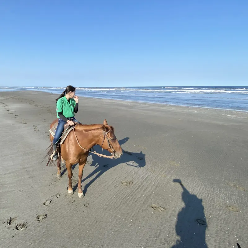 動物看護師 下平真子 写真6