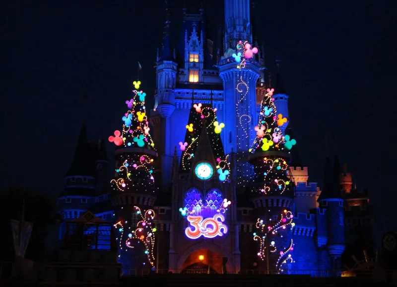 動物看護士・トリマー 豊田七海 写真2