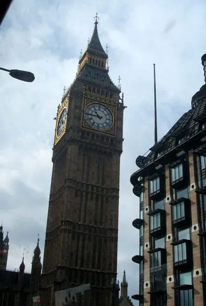 動物看護士・トリマー 豊田七海 写真6