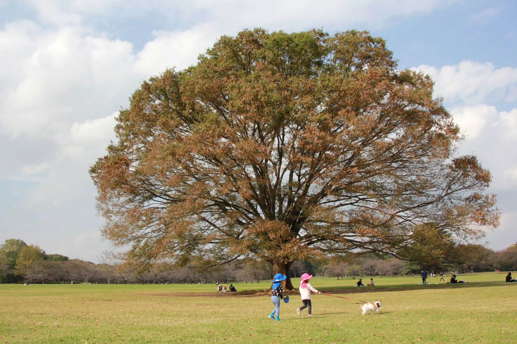 院長 渡辺啓太 写真1