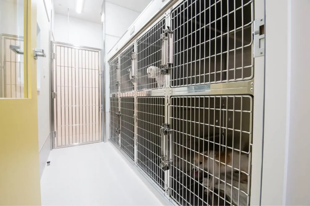 AMS_8674 マイクロバブルバス