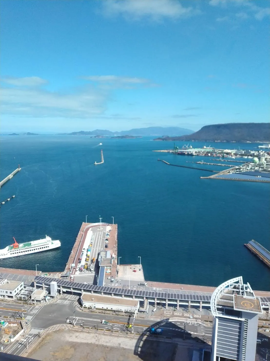 獣医師 近藤猛雄 写真3